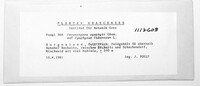 Image Associated With the Occurence